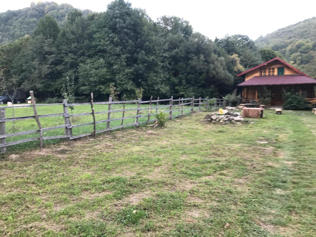 Apartamento Casutele Doftanei Teşila Exterior foto