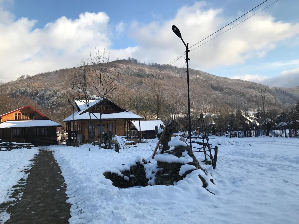 Apartamento Casutele Doftanei Teşila Exterior foto