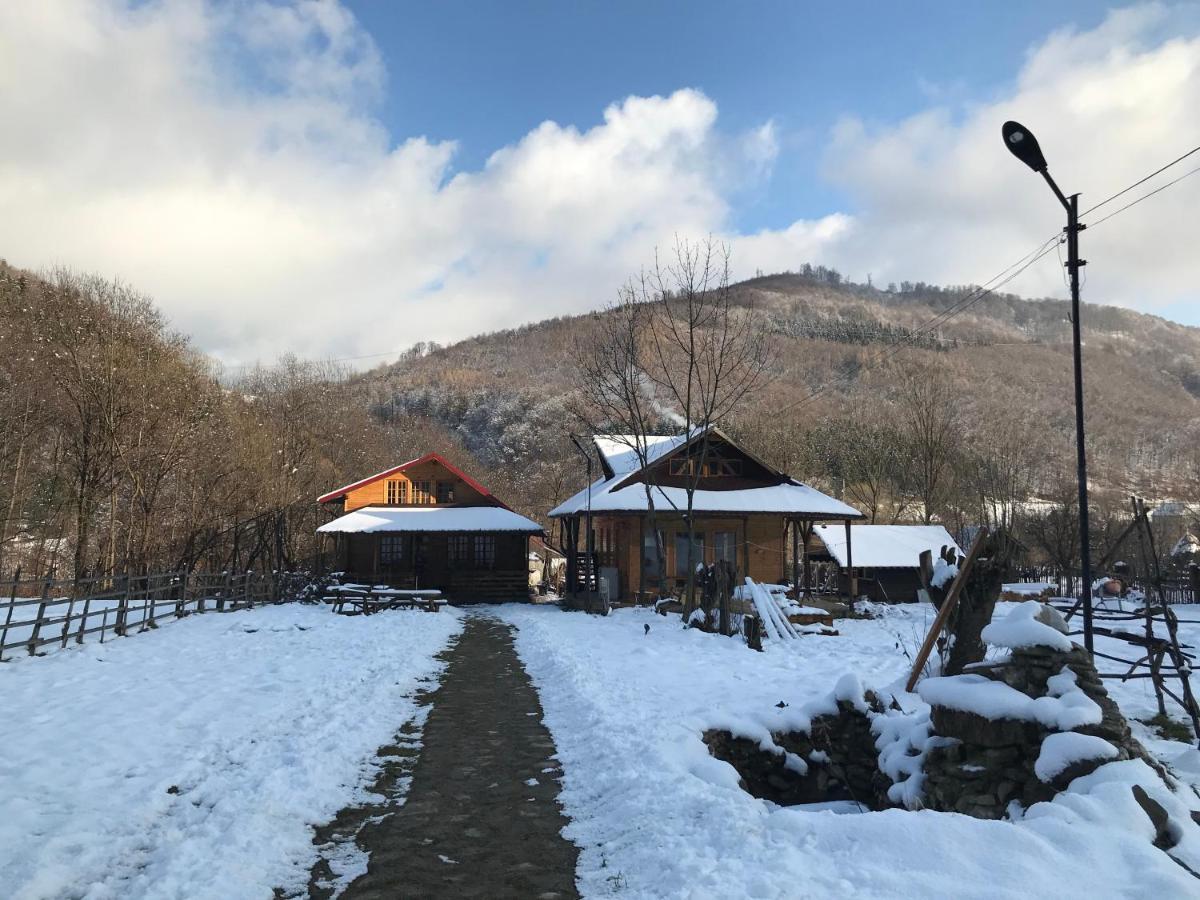 Apartamento Casutele Doftanei Teşila Exterior foto