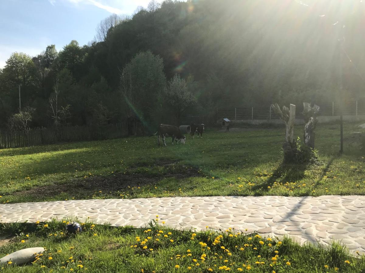 Apartamento Casutele Doftanei Teşila Exterior foto